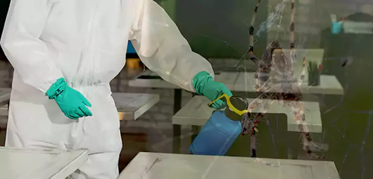 Why Buyers Still Want Homes With Pest Infestations in Amarillo, TX?