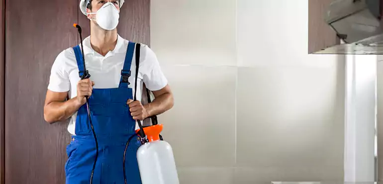 Why Amarillo Homeowners Choose Us When Pests Make Selling Difficult