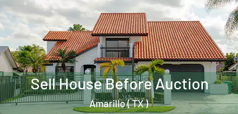  Sell House Before Auction Amarillo ( TX )