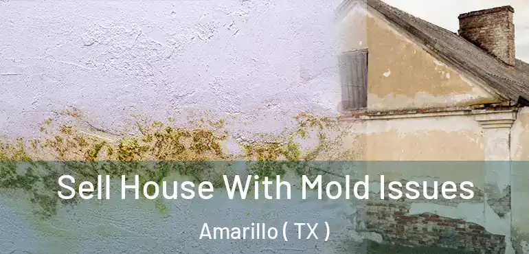  Sell House With Mold Issues Amarillo ( TX )